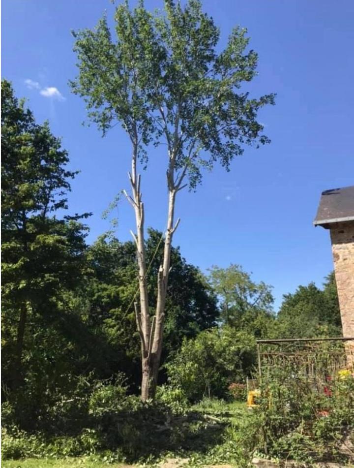 Créateur de jardin à Plaisance-du-Touch