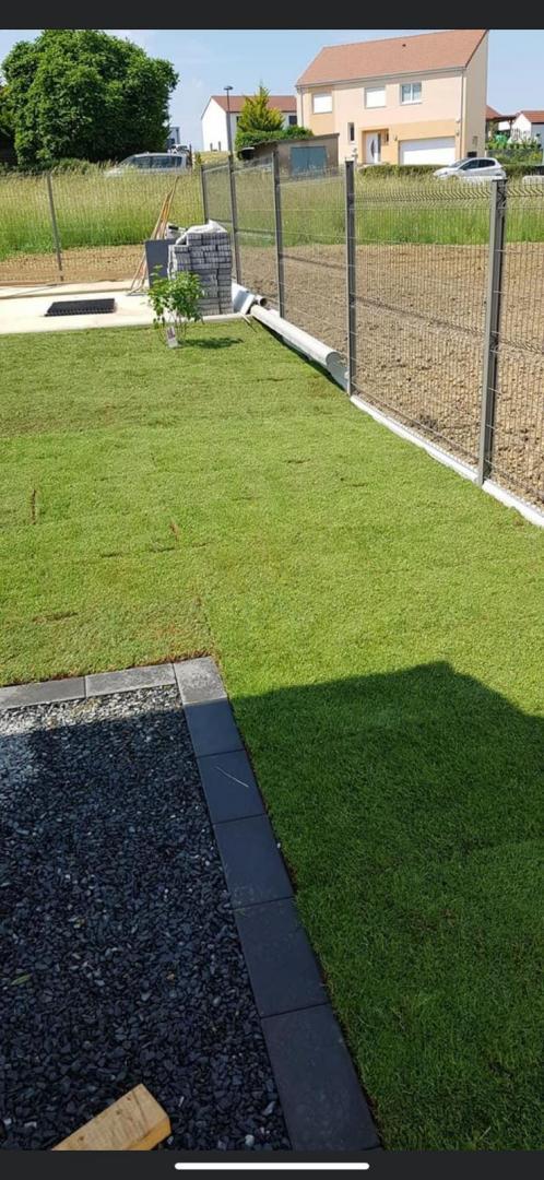 Abattre des arbres à Plaisance-du-Touch