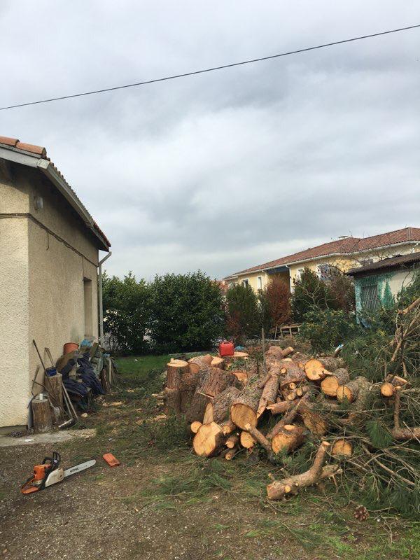 Création de jardin Plaisance-du-Touch