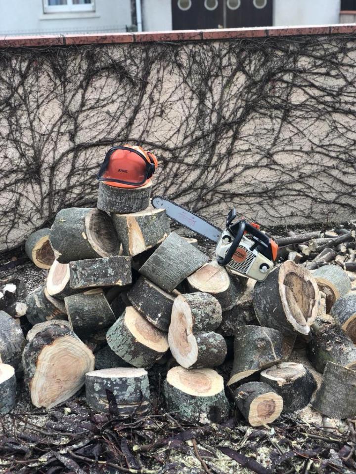 Création et pose de pelouse en rouleau à Plaisance-du-Touch