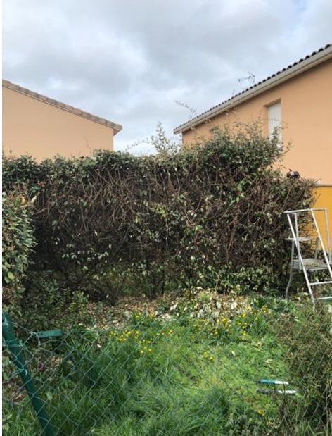 Création et pose de pelouse en rouleau à Plaisance-du-Touch