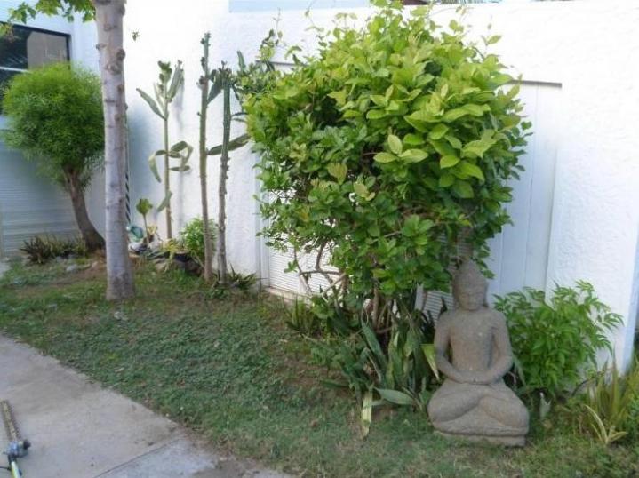 Créateur de jardin à Plaisance-du-Touch