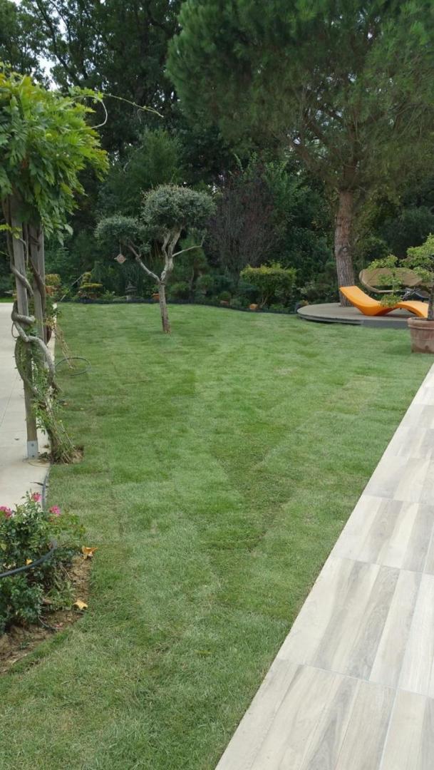 Taille de haies Plaisance-du-Touch