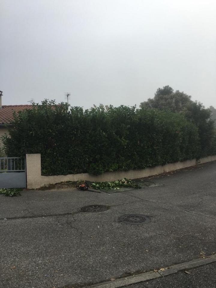 Création pelouse en rouleau Plaisance-du-Touch