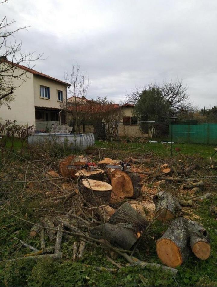 Création pelouse en rouleau Plaisance-du-Touch