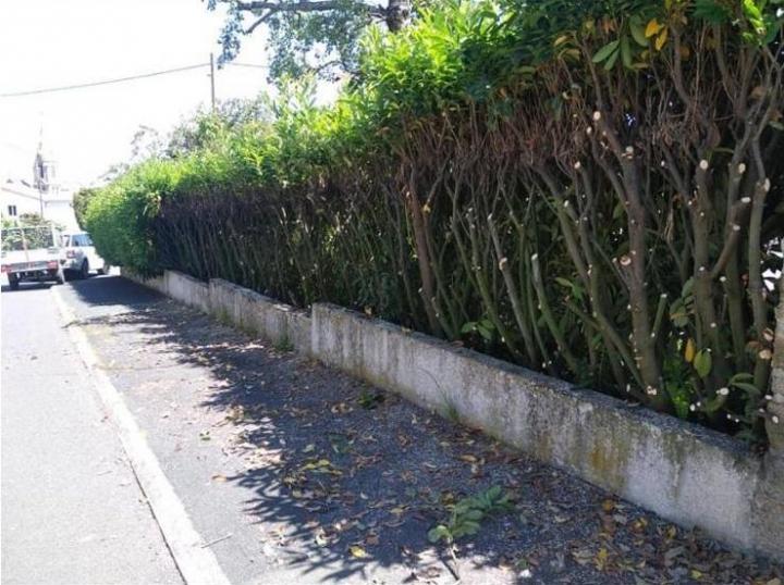 Élagueur Plaisance-du-Touch