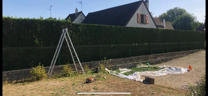 Création de jardin Plaisance-du-Touch