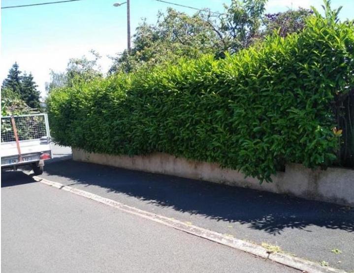 Abattre des arbres à Plaisance-du-Touch