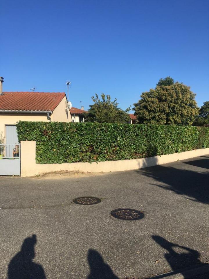 Création de jardin Plaisance-du-Touch